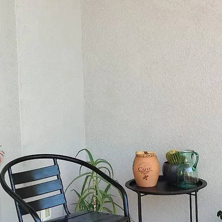 Apartment Botanica